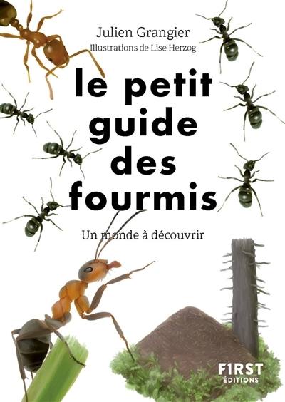 petit guide des fourmis : un monde à découvrir (Le) | Grangier, Julien (Auteur) | Herzog, Lise (Illustrateur)