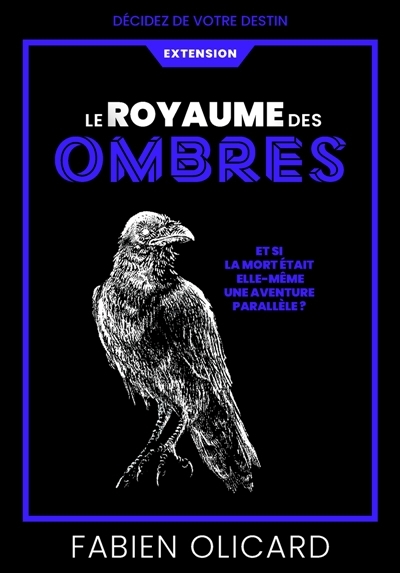 Le Royaume des Ombres : décidez de votre destin : extension | Olicard, Fabien (Auteur)