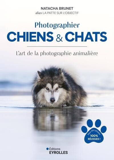 Photographier chiens & chats : l'art de la photographie animalière : pour des photos 100 % réussies ! | Brunet, Natacha (Auteur)