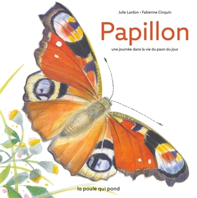 Papillon : une journée dans la vie du paon du jour | Lardon, Julie (Auteur) | Cinquin, Fabienne (Illustrateur)