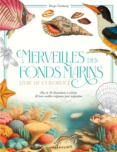 Merveilles des fonds marins : Carnet de coloriage avec modèles en couleur | 