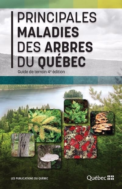 Principales maladies des arbres au Québec | 