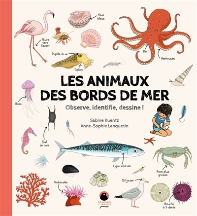 Les animaux des bords de mer : Observe, identifie, dessine ! | Kuentz, Sabine (Auteur) | Lanquetin, Anne-Sophie (Illustrateur)