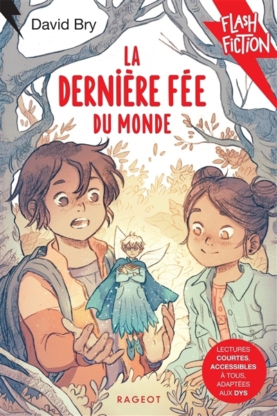 La dernière fée du monde | Bry, David (Auteur) | Alexandre, Marianne (Illustrateur)