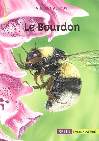 bourdon (Le) | Albouy, Vincent (Auteur) | Verdier, Jean-Louis (Illustrateur)