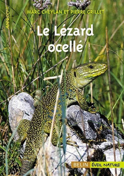 lézard ocellé (Le) | Cheylan, Marc (Auteur) | Grillet, Pierre (Auteur)