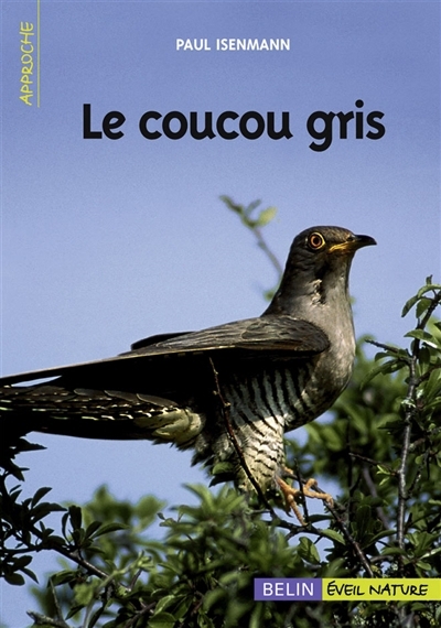 coucou gris (Le) | Isenmann, Paul (Auteur)