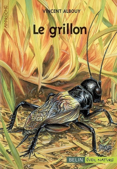 grillon (Le) | Albouy, Vincent (Auteur)