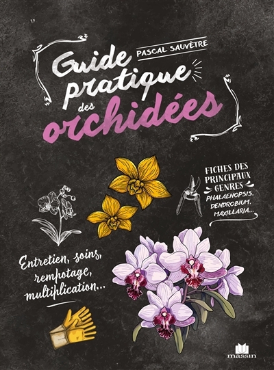 Guide pratique des orchidées : entretien, soins, rempotage, multiplication... | Sauvêtre, Pascal (Auteur)