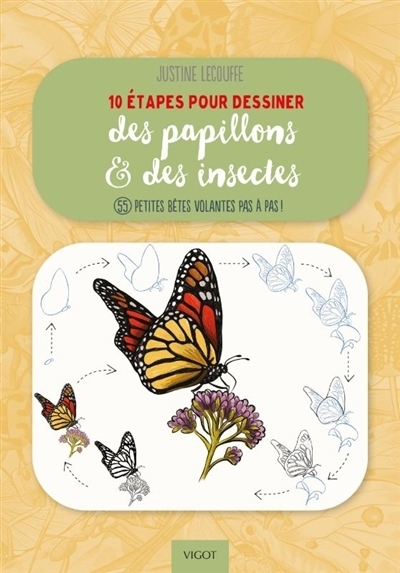 10 étapes pour dessiner des papillons & des insectes : 55 petites bêtes volantes pas à pas ! | Lecouffe, Justine (Auteur)