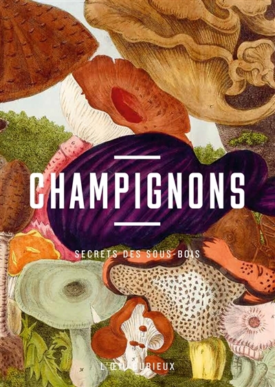 Champignons | Menapace, Luc