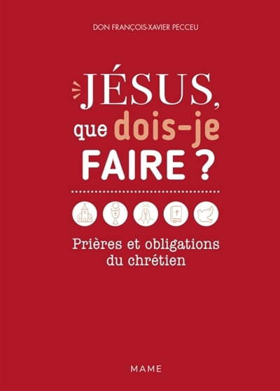 Jésus, que dois-je faire ? : prières et obligations du chrétien | Pecceu, François-Xavier (Auteur)