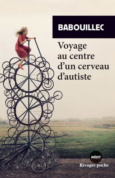 Voyage au centre d'un cerveau d'autiste | Babouillec