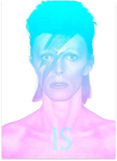 David Bowie est le sujet = David Bowie is | 