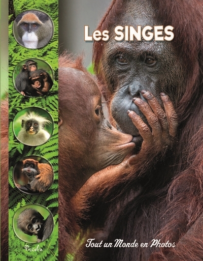 Tout un monde en photos - Les singes  | Baillet, Christine 