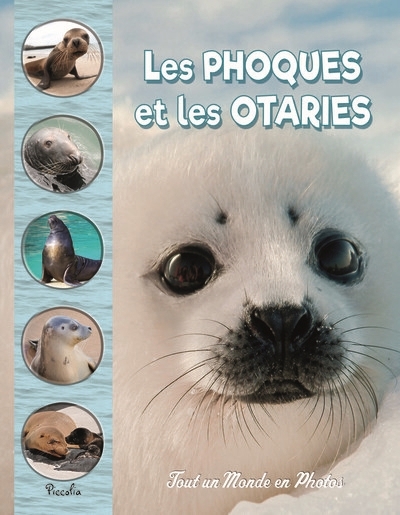 Tout un monde en photos - Les phoques et les otaries  | Baillet, Christine 