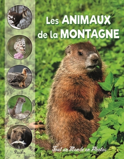 Tout un monde en photos - Les animaux de la montagne | Baillet, Christine (Auteur)