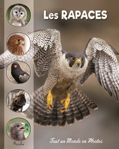 Tout un monde en photos - Les rapaces  | Baillet, Christine 