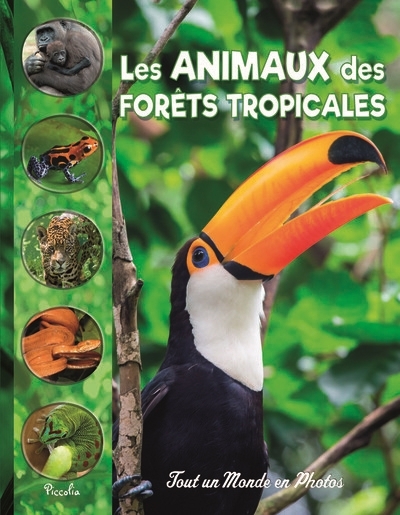 Tout un monde en photos - Les animaux des forêts tropicales | Coët, Nathalie (Auteur)