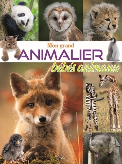 Mon grand animalier bébés animaux | 