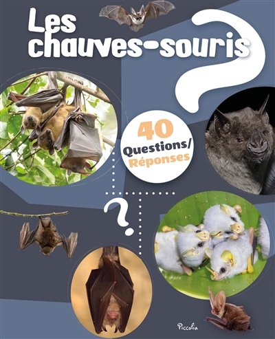 Les chauves-souris | Baillet, Christine (Auteur)
