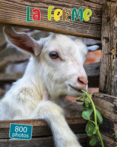 La ferme : 800 photos | 