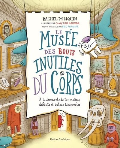 Musée des bouts inutiles du corps : À la découverte de tes vestiges, défauts et autres bizarreries (Le) | Poliquin, Rachel (Auteur) | Hanmer, Clayton (Illustrateur)