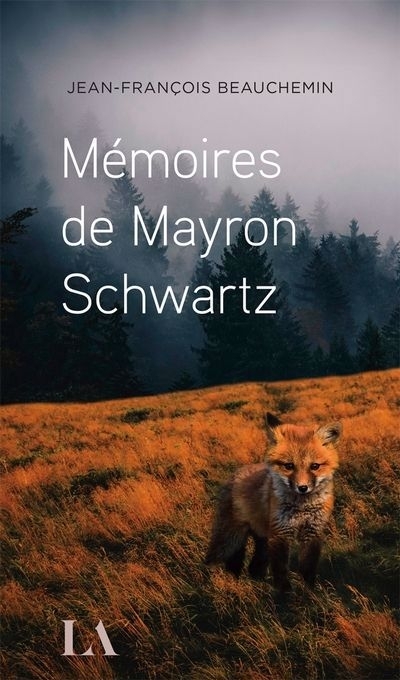 Mémoires de Mayron Schwartz | Beauchemin, Jean-François