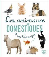 Animaux domestiques (Les) | 