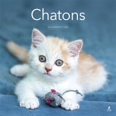 Calendrier 2026 : Chatons | 