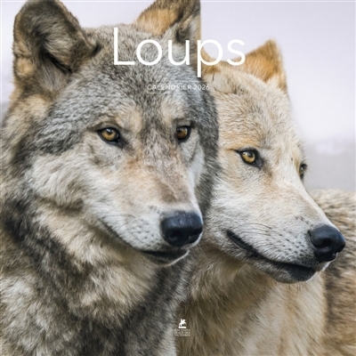 Calendrier 2026 : Loups | 