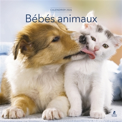 Calendrier Bébés Animaux 2026 | 