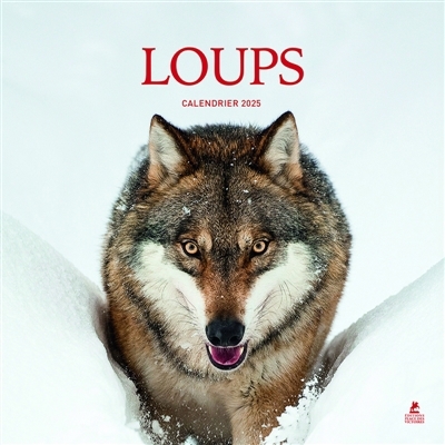 Loup : Calendrier 2025 | 