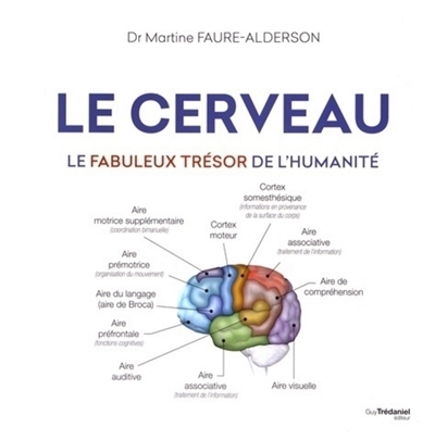 cerveau (Le) | Faure-Alderson, Martine