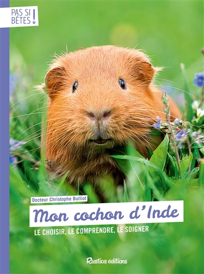 Mon cochon d'Inde : le choisir, le comprendre, le soigner | Bulliot, Christophe