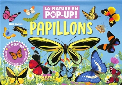 Papillons | Hawcock, David (Auteur)