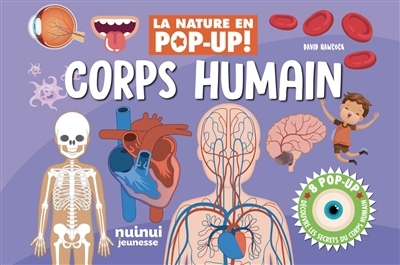 Corps humain : 8 pop-up : découvre les secrets du corps humain | Hawcock, David (Auteur)