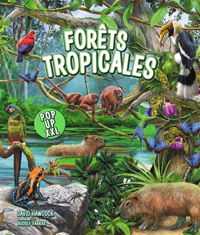 Forêts tropicales | Hawcock, David (Auteur) | Farkas, Rudolf (Illustrateur)