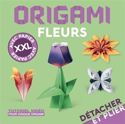 Origami fleurs | Foelker, Rita | Bertinetti, Mila | Decio, Francesco | Battaglia, Vanda