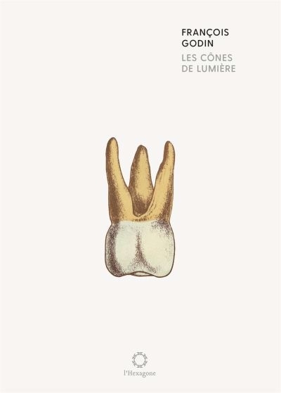 Les cônes de lumière | Godin, François