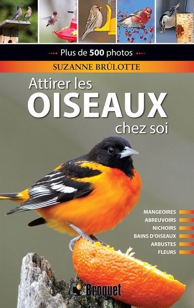 Attirer les oiseaux chez soi | Brûlotte, Suzanne