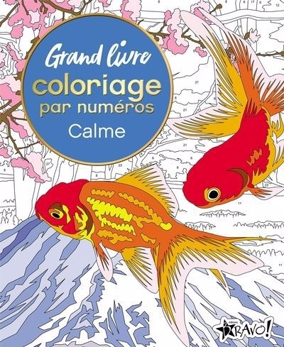 Grand livre de coloriage par numéros - Calme | Woodroffe, David