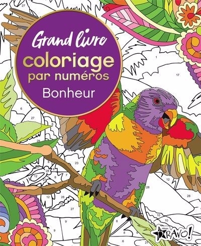 Grand livre de coloriage par numéros - Bonheur | Olbey, Arpad (Auteur) | Storino, Sara (Auteur)
