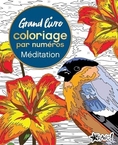 Grand livre de coloriage par numéros - Méditation | Woodroffe, David