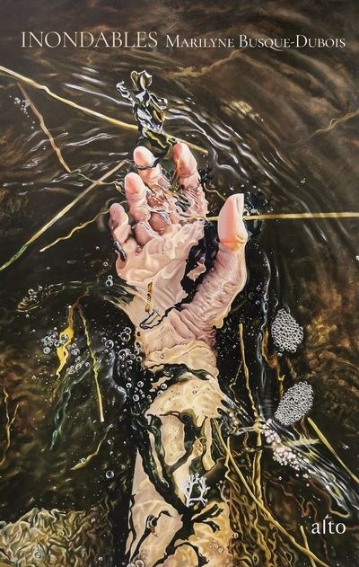 Inondables | Busque-Dubois, Marilyne