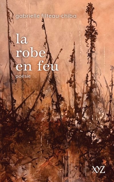 La robe en feu | Filteau-Chiba, Gabrielle (Auteur)