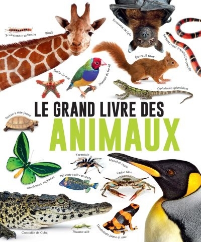 grand livre des animaux (Le) | Burnie, David