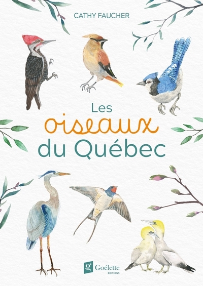 oiseaux du Québec (Les) | Faucher, Cathy