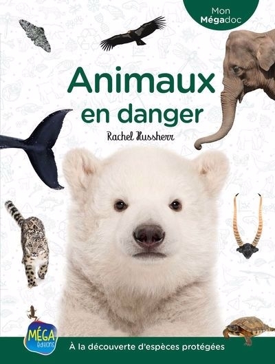 Animaux en danger | Hussherr, Rachel (Auteur)