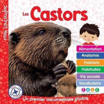 Les castors : Un premier documentaire photos | Ouellet, Marie-Claude (Auteur)
